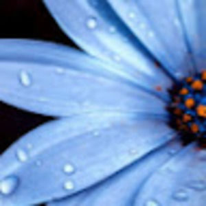 Meet your Posher, Fiona